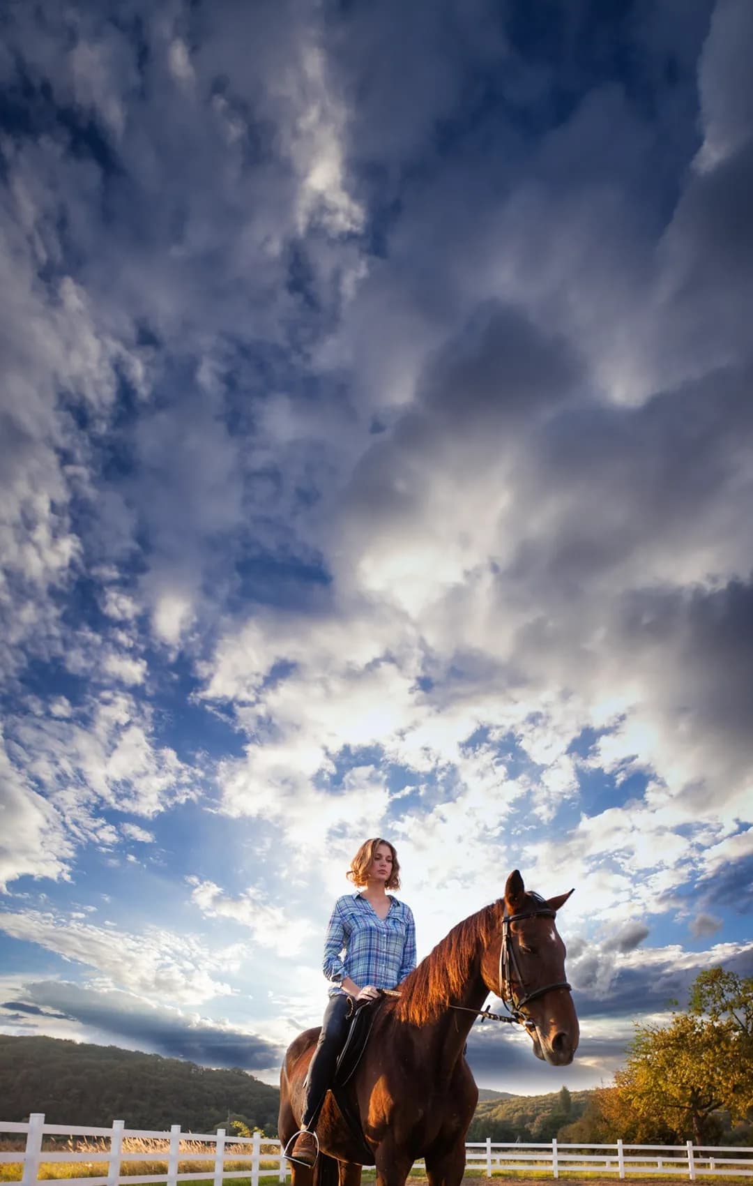 Finde einen Reitstall oder Reitpädagog*innen  in deiner Nähe. 